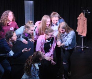 Swavesey girls mobile